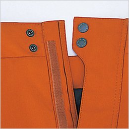 テングダブルドットボタン