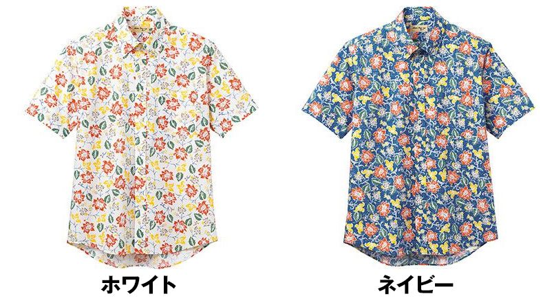 色展開